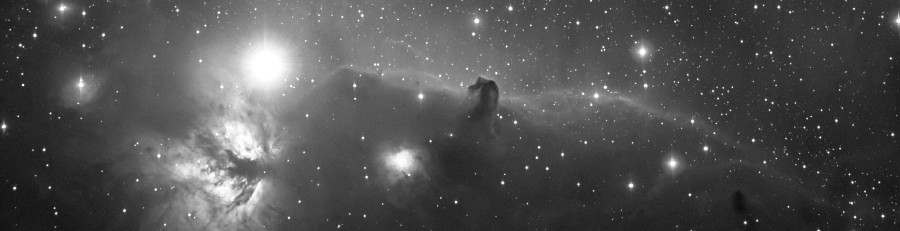 horsehead